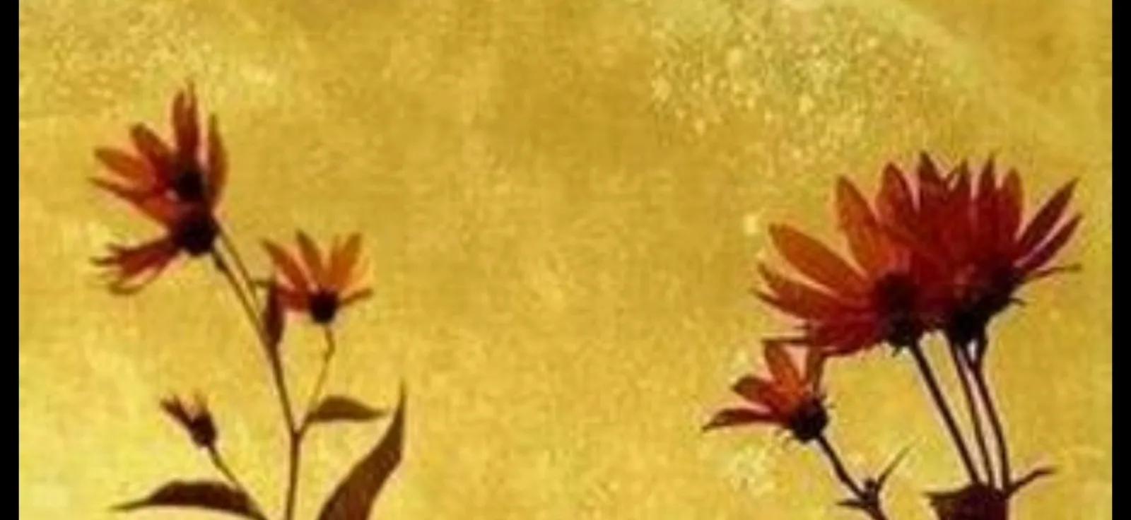 痛并快乐着的文案,痛并快乐着专辑正版