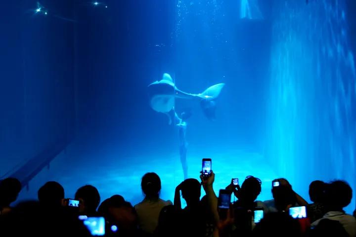 大连金石滩徒步大会线路,大连金石滩徒步下来多少公里