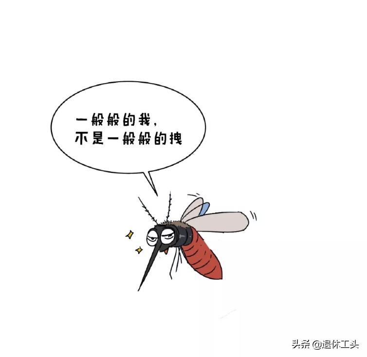 家里没有蚊香了怎么预防蚊子咬人,预防蚊子的绝招