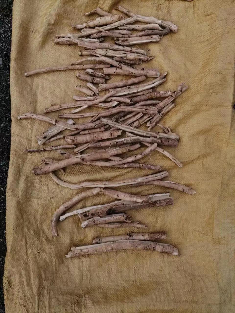 俄罗斯出口中国中草药,俄罗斯中草药