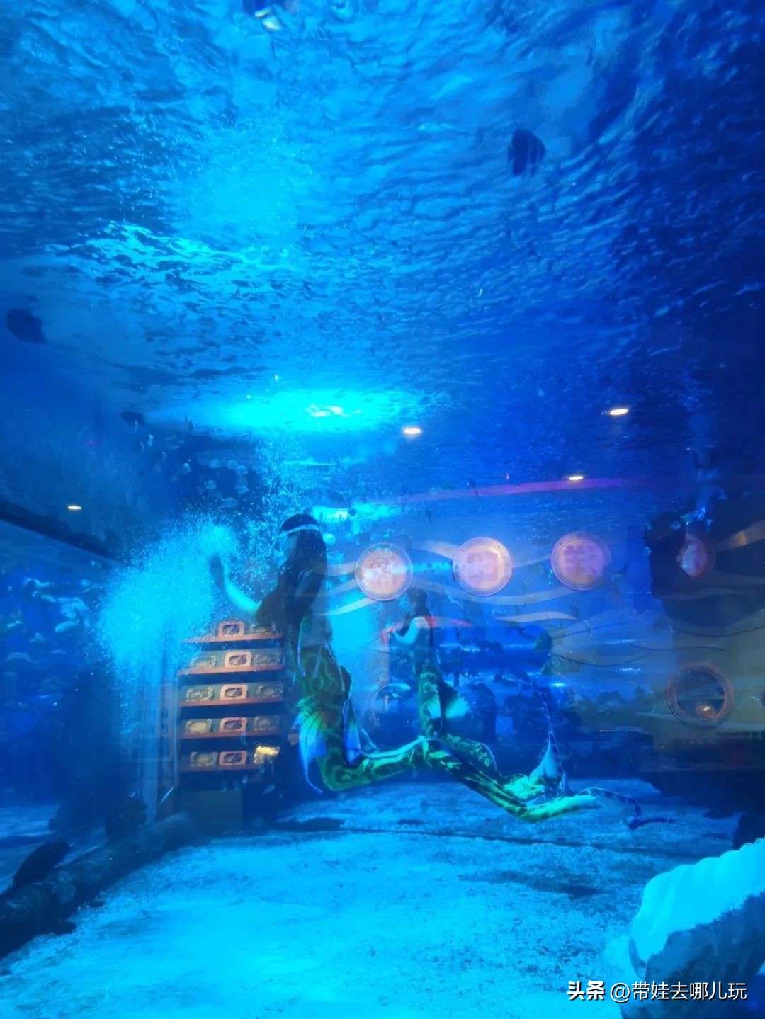 天津海昌极地海洋公园冬天营业吗,天津海昌极地海洋公园游玩攻略