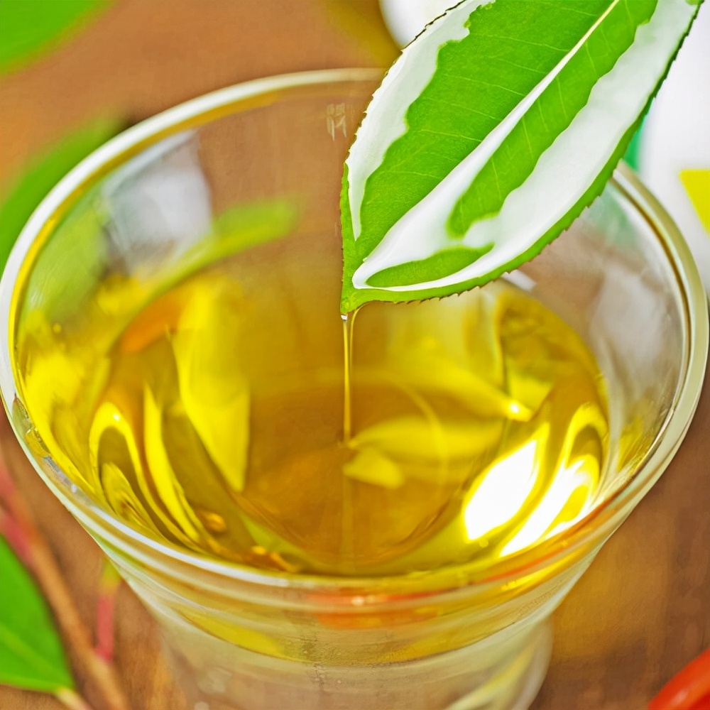 一两黄金二两茶油——山茶油