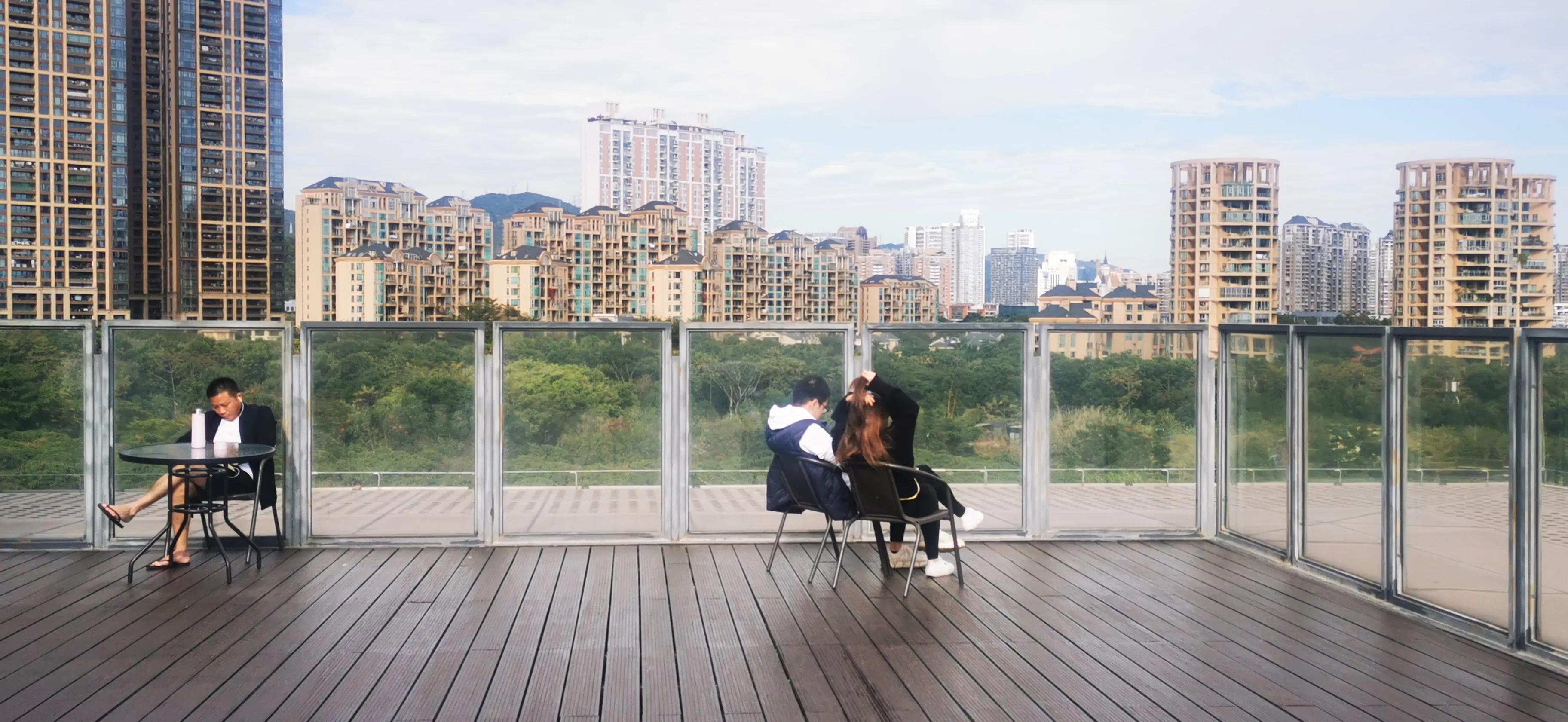 这才是深圳最值得打卡的十大景区,深圳莲花山公园赏花打卡地推荐