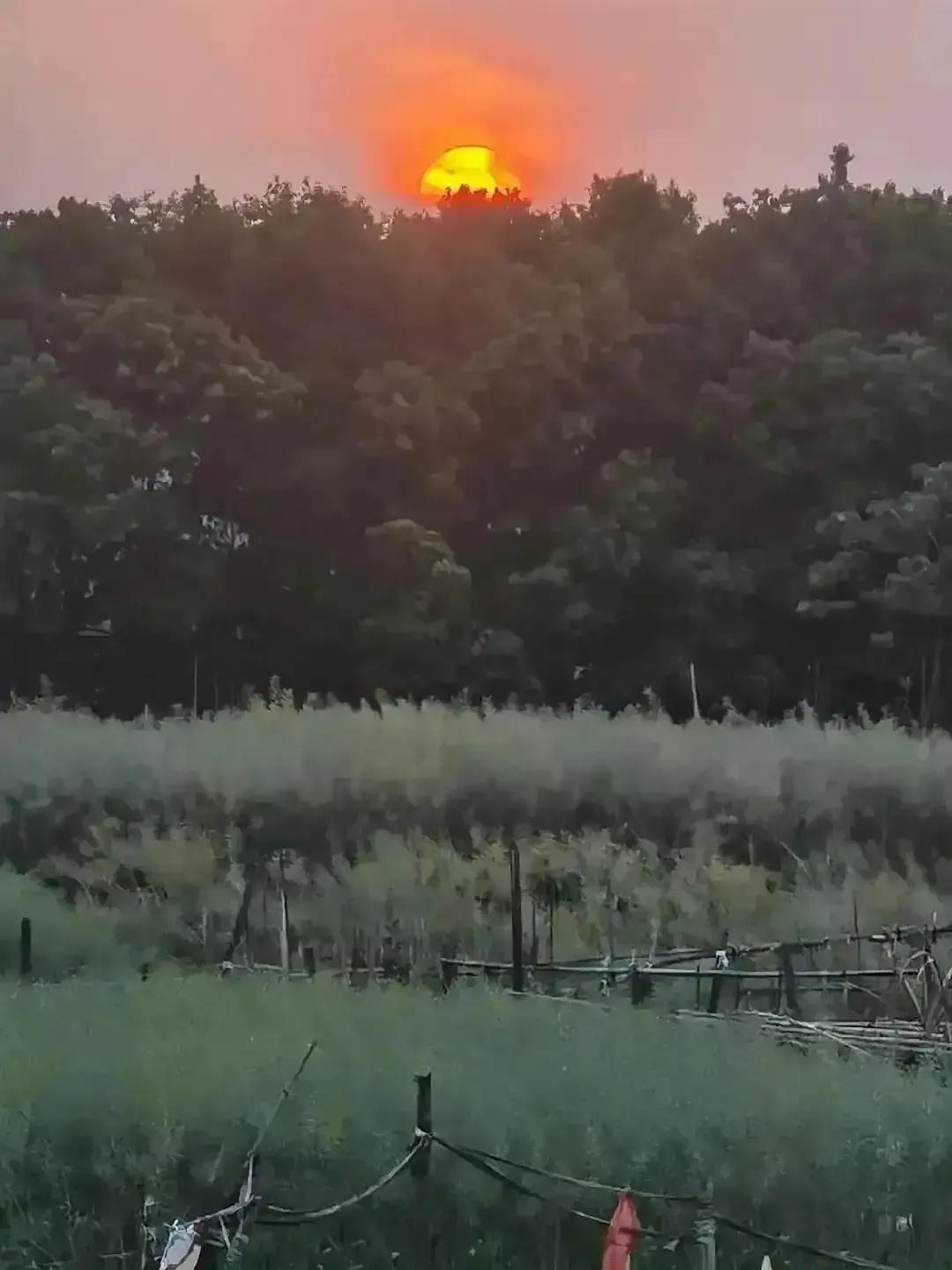 组织设计案例,组织设计培训