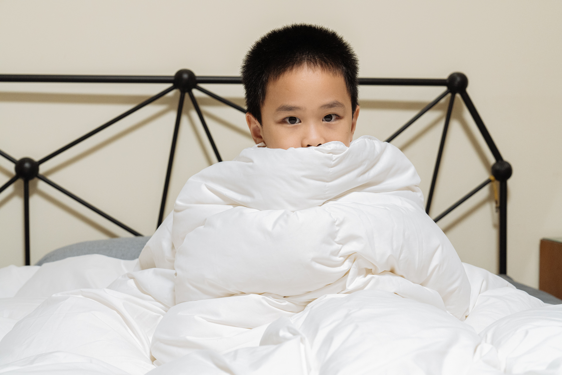 羽绒被哪款保暖最好,羽绒被鹅绒被哪个保暖好