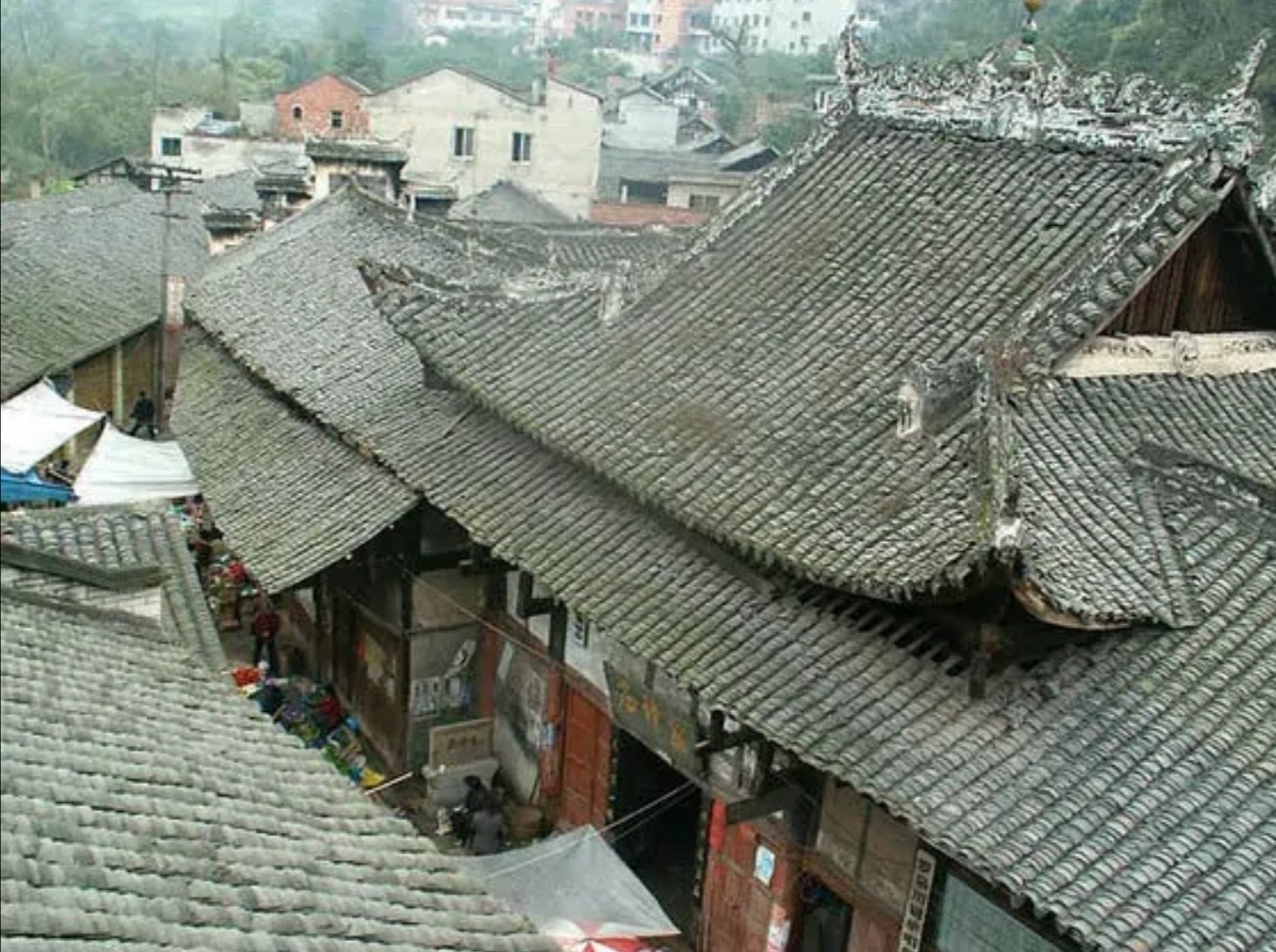 青春岁月知青往事,农村知青青春往事