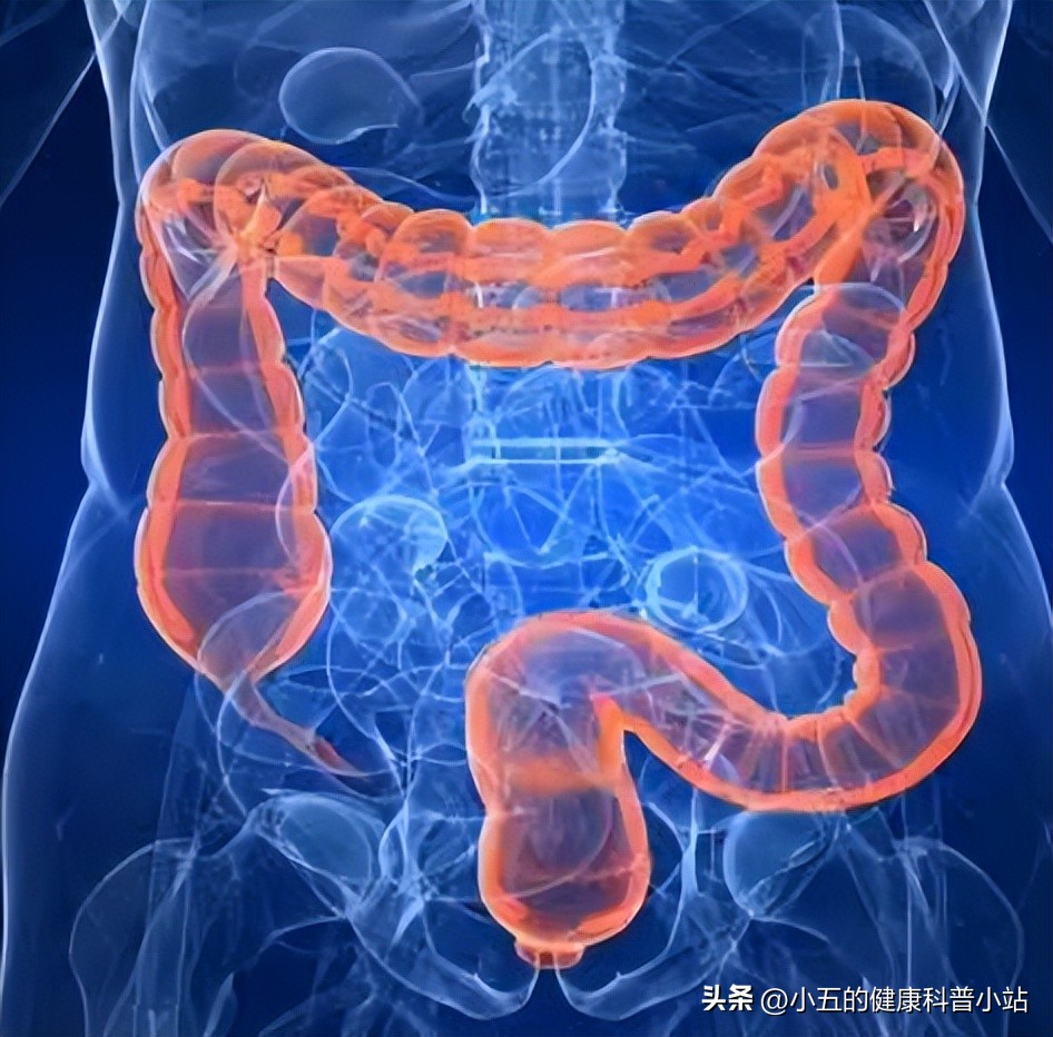 功能性消化不良吃莫沙必利多久,莫沙必利治疗什么病