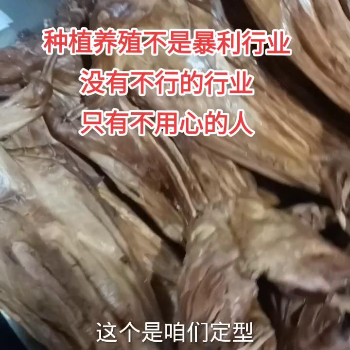 养殖创业哪个行业最好,做生意养什么比较好