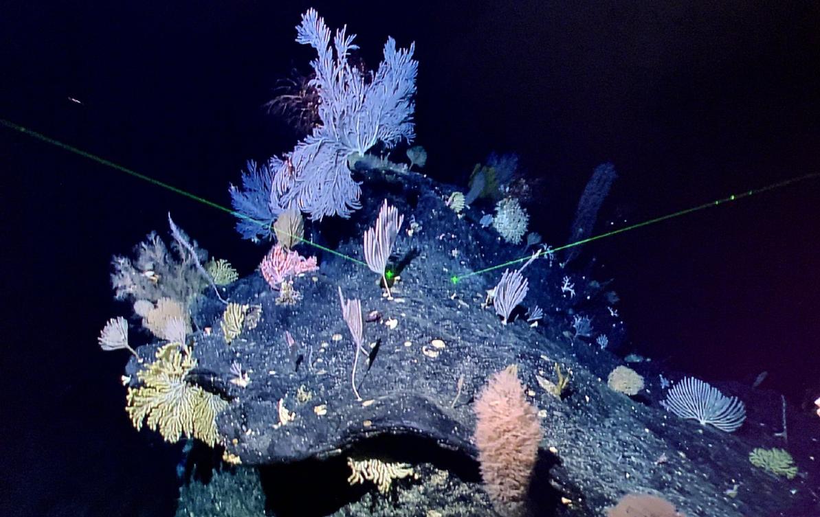 马里亚纳海沟比珠峰还深,马里亚纳海沟跟珠峰比较图