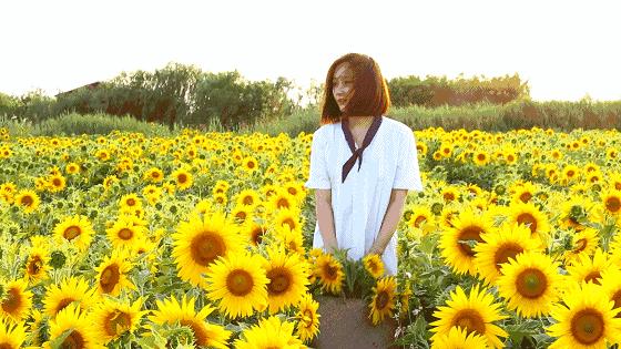 4天旅游广州周边景点攻略,人少景美的小众旅行地广东出发