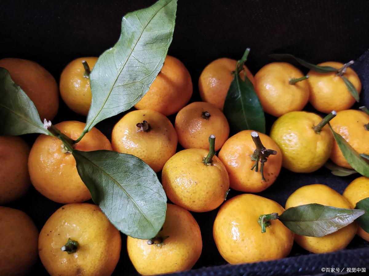 珠海必备特产有哪些,珠海特产有哪些比较值得带