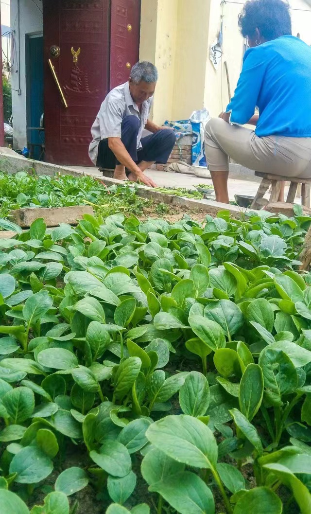 我，身高145，高中文化，19年在深圳开始做外贸，如今年收入60万