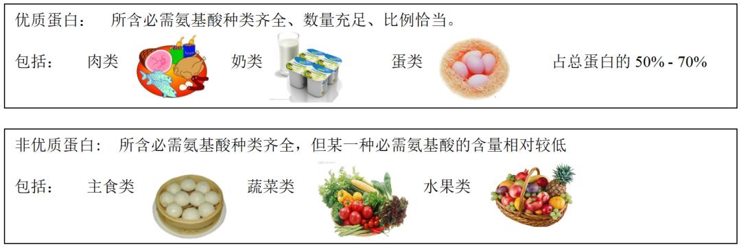 骨科患者营养管理,肾病患者的营养管理