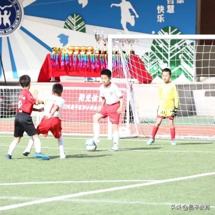 校园竞技,校园赛场青春激扬活力四射