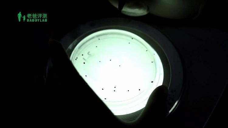 纯福猫砂甲醛超标,猫砂甲醛排名前十