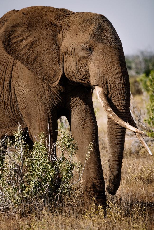地球是人类生活的家,神奇的地球家