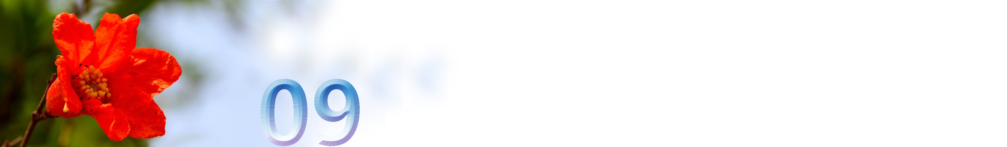 五月石榴花开的唯美诗句,关于石榴花的美文和诗句