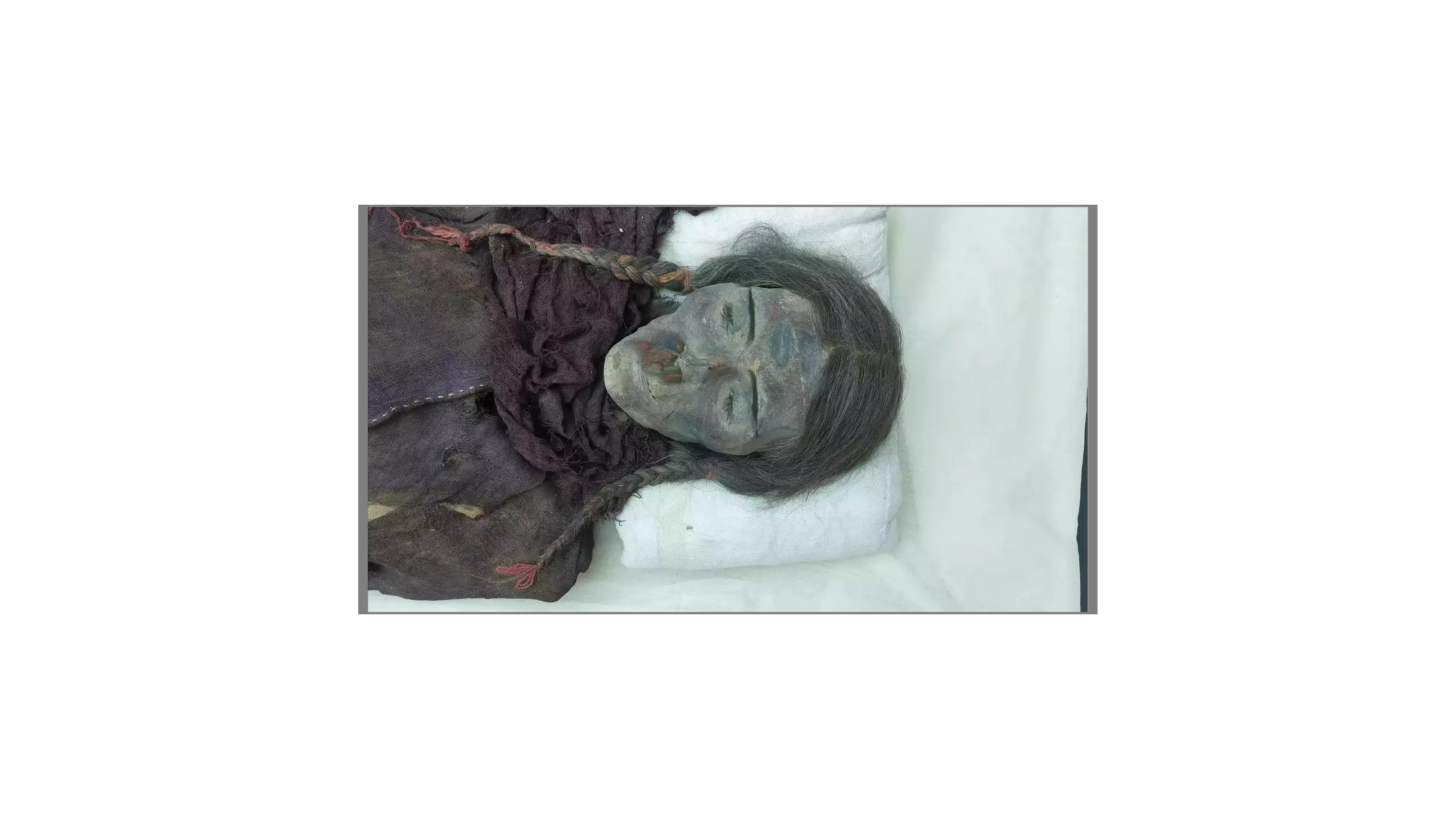 让尸体开口说话查案,让尸体说话纪录片