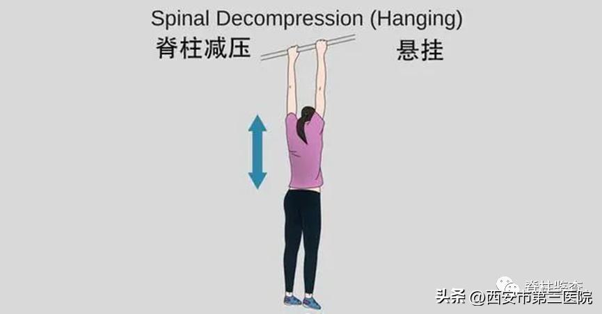 脊柱科普教学视频,关于腰椎间盘的科普知识
