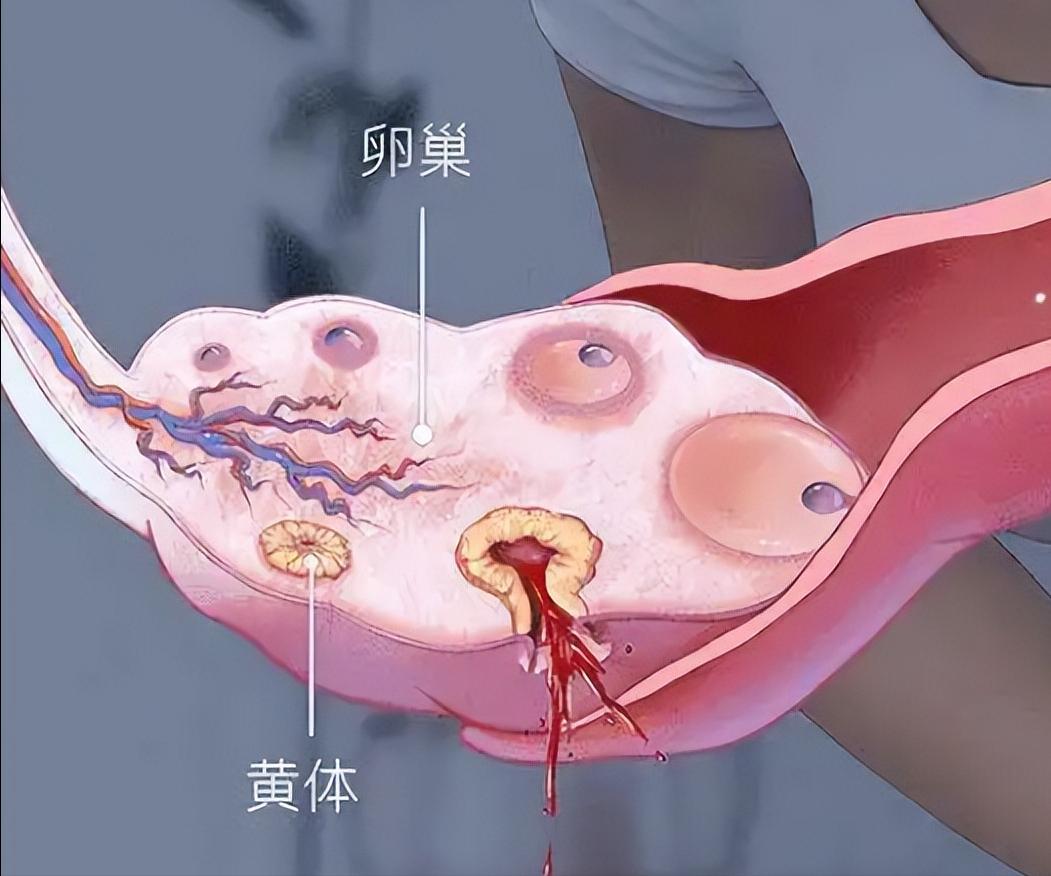 姨妈前后外阴有点疼是怎么回事,女士下身隐隐疼怎么回事