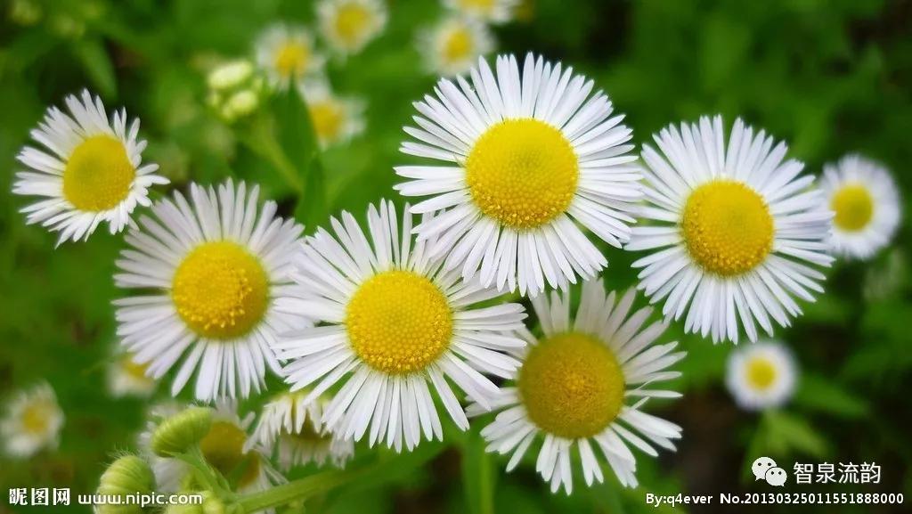 郭进栓汝州,郭进栓