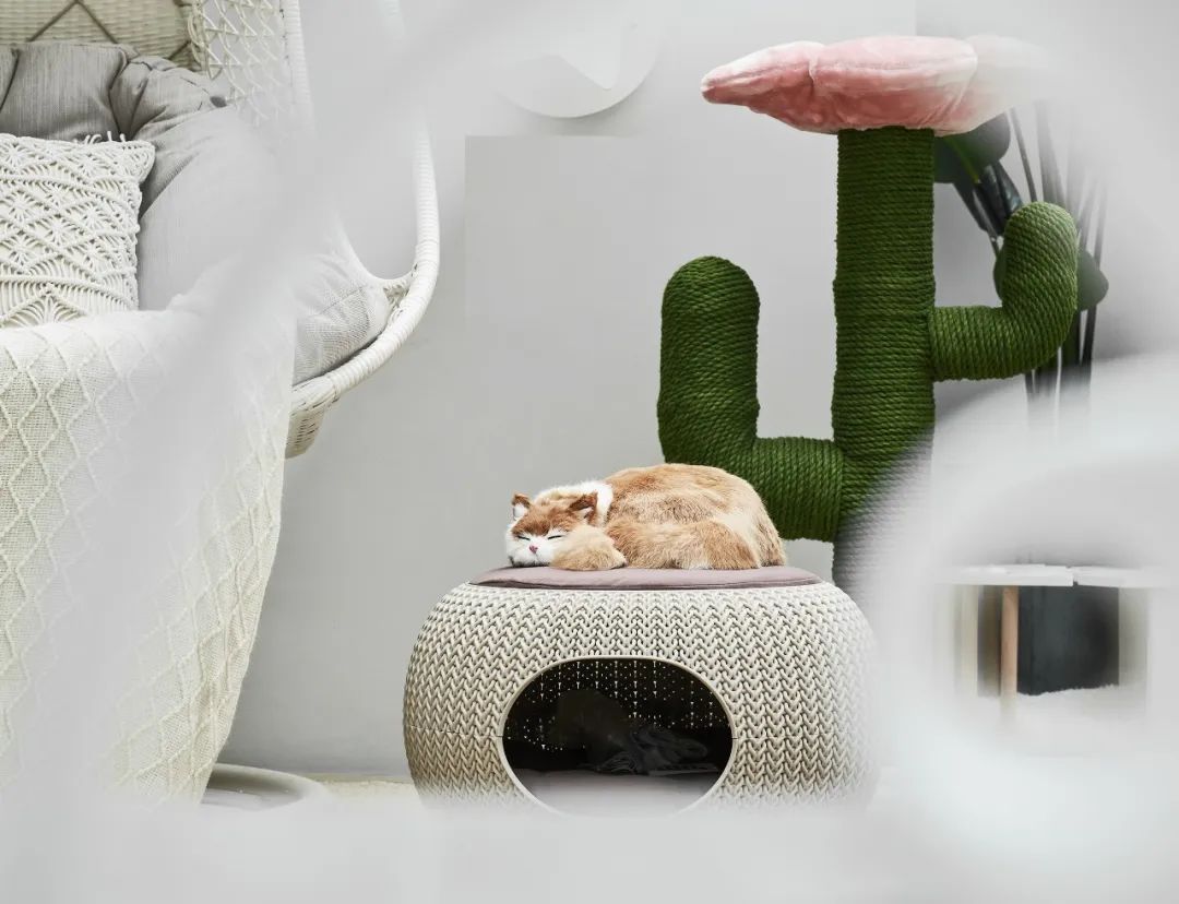 本则摩恩设计,本则木作工作室