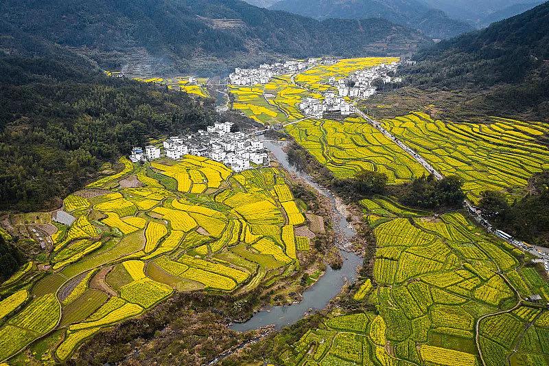 春季赏花景点有哪些,雅安周边春天赏花一日游最佳景点