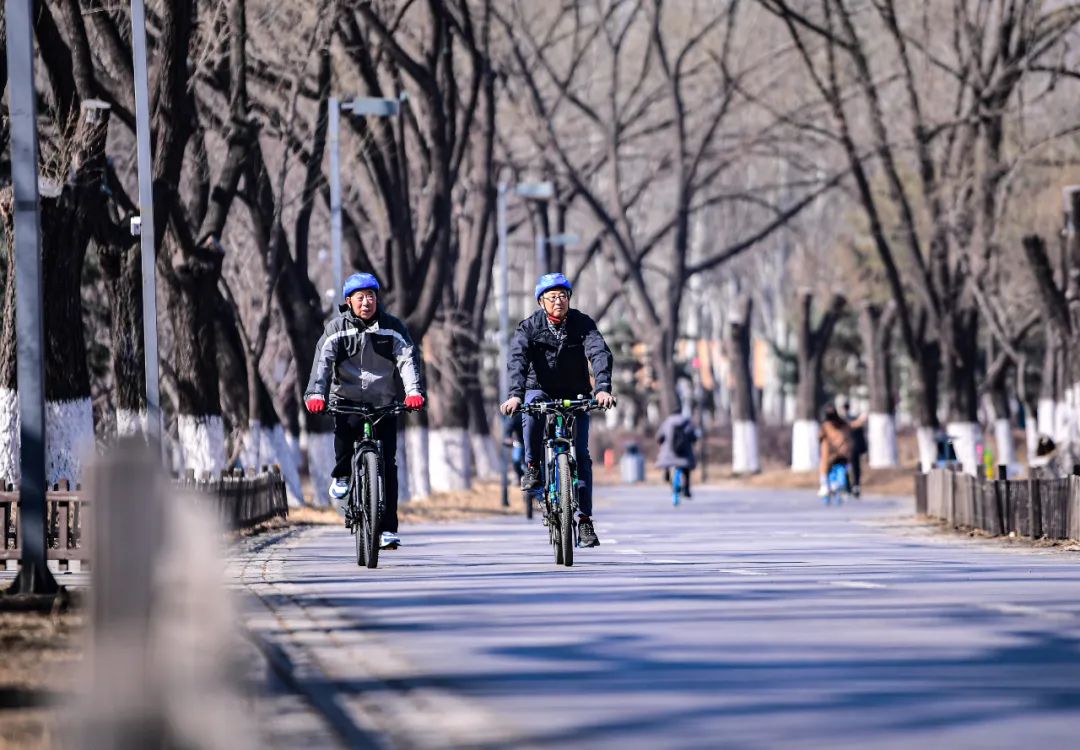 沈阳最近郊游最佳地点,沈阳湿地公园丹顶鹤放飞