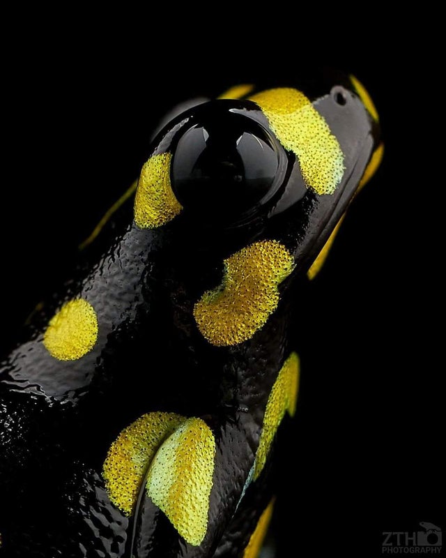 印度佛像真实照片,印度佛像原始图