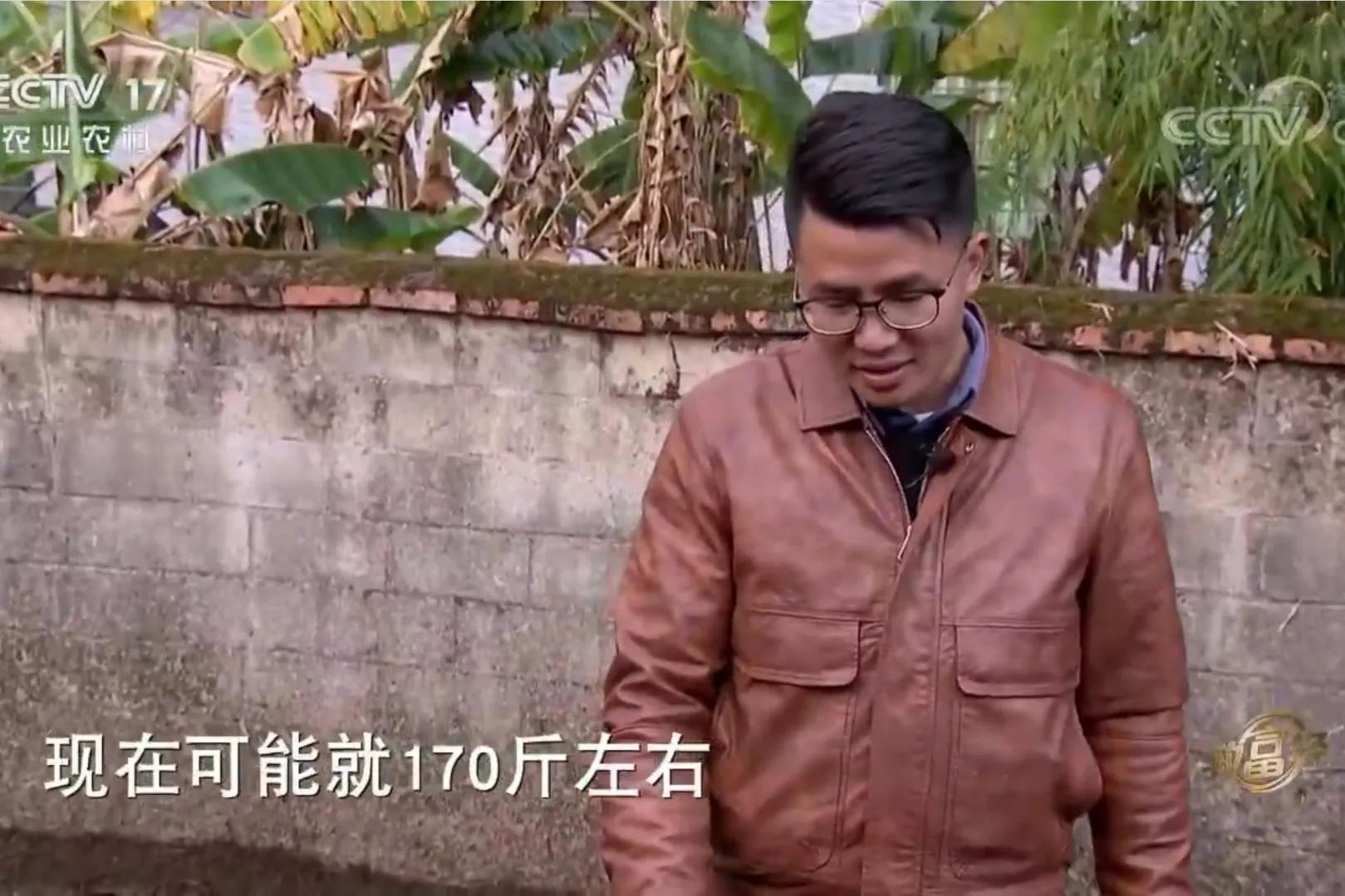 男子承包900亩荒山创业,小伙承包500亩地种特产如今暴富