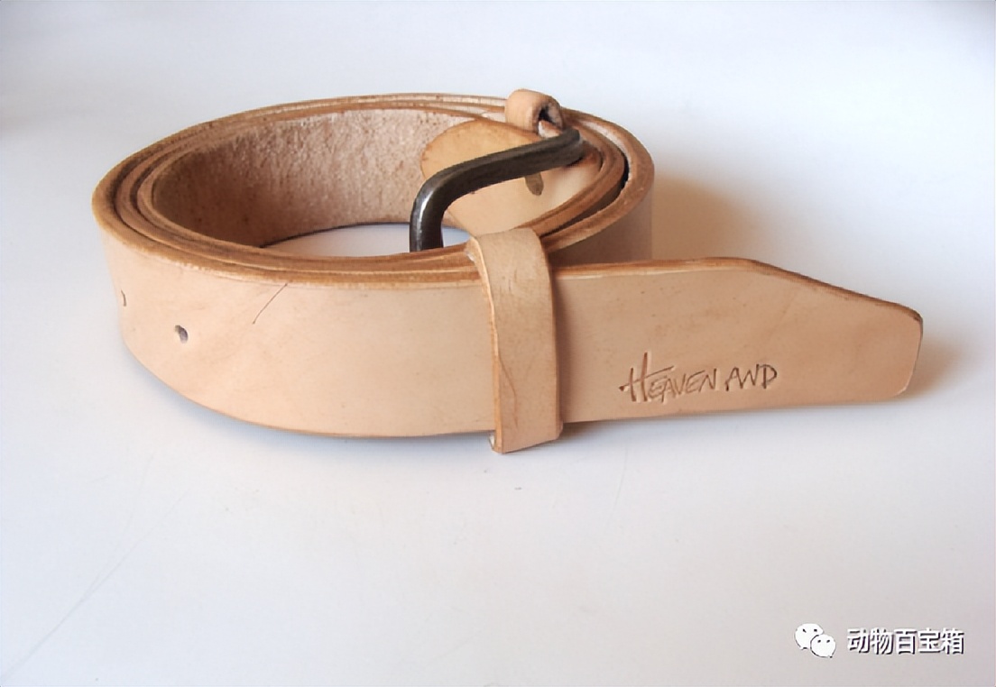 集市上卖的现割牛皮带,集市上现割牛皮带批发