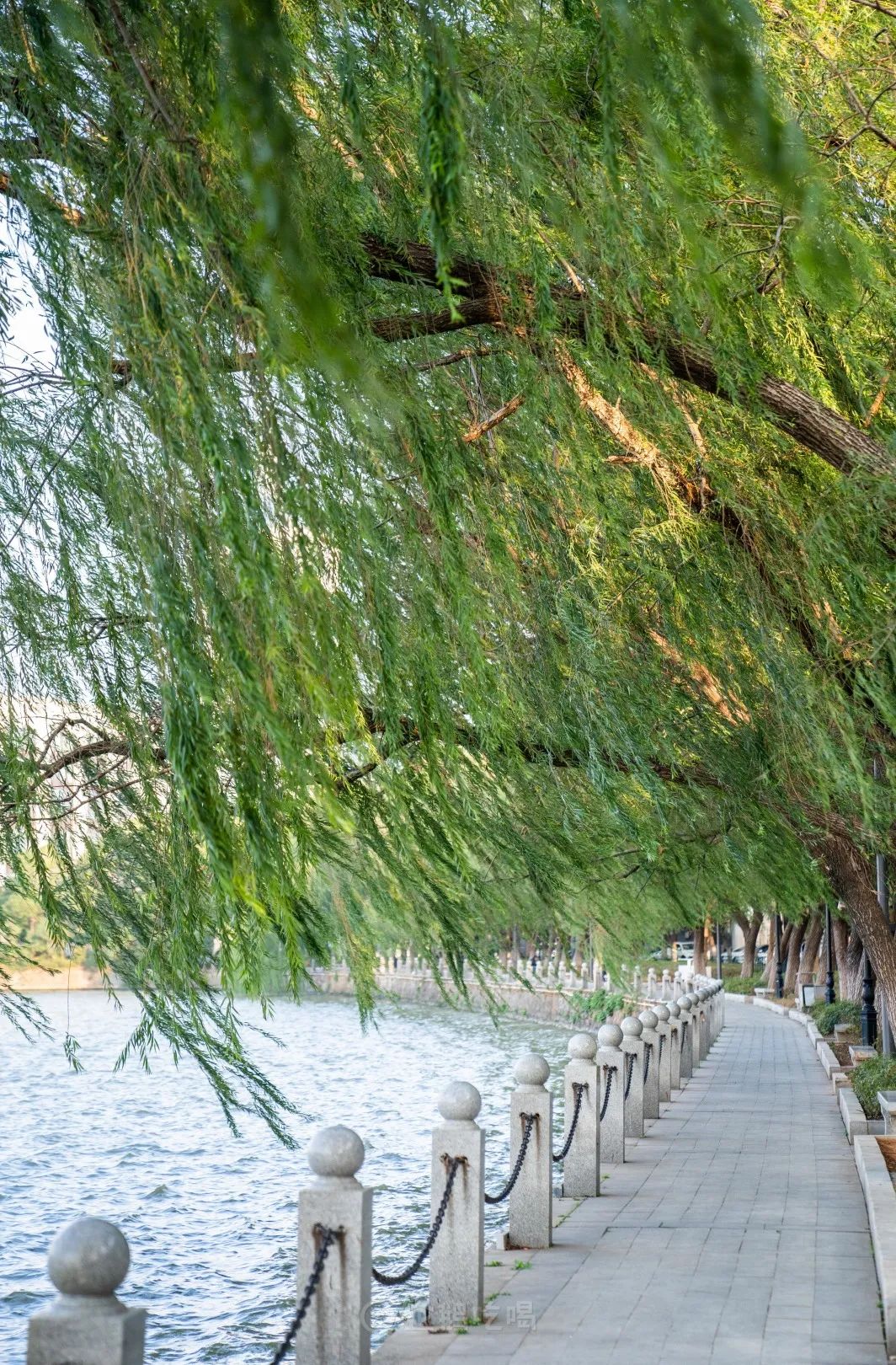 辣到落泪也舍不得停嘴的宝藏城市，不是长沙成都重庆