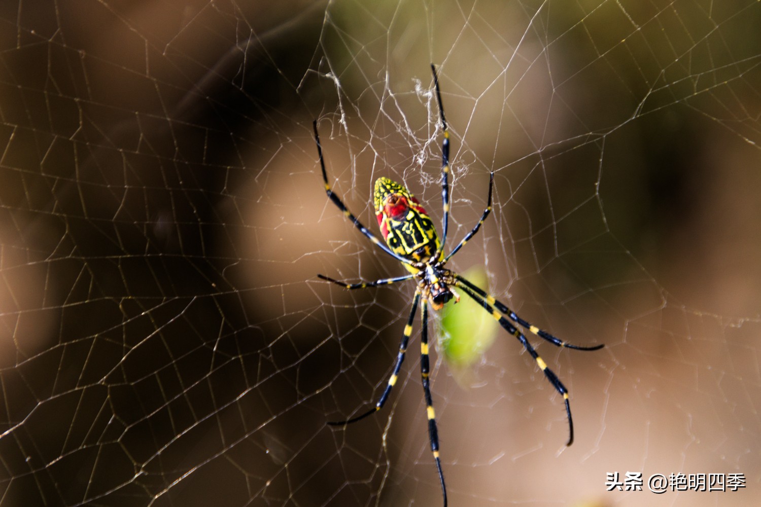 平谷老象峰风景区,北京平谷老象峰