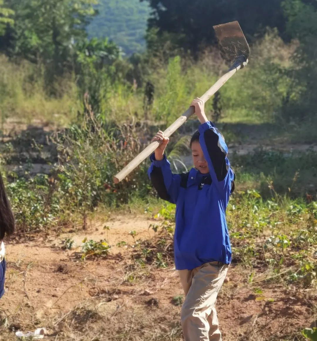 前方高能校园歌手演唱瞬间,前方高能校园
