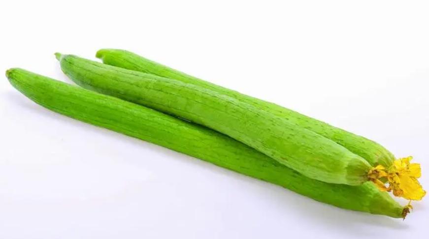 夏天祛湿气最好的水果蔬菜,三伏天吃什么菜最佳祛湿气