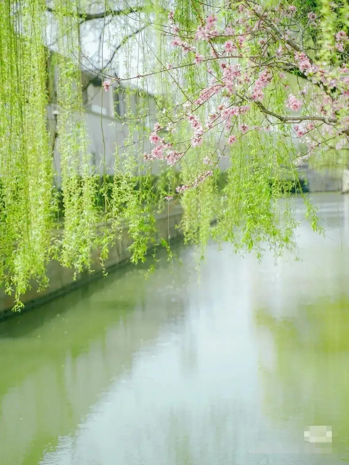 十二星座介绍天蝎座和双子座,天蝎座吸引双子座的性格