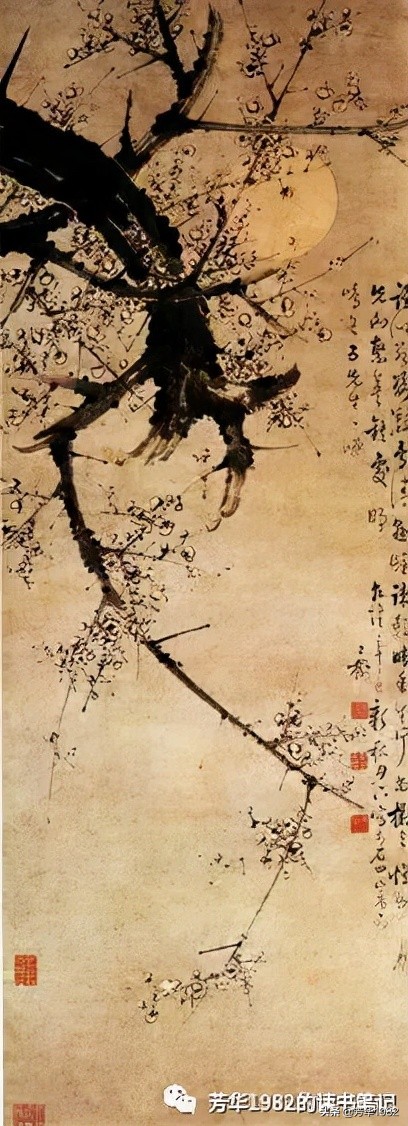 梅花图简介,历代名家梅花图