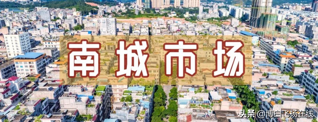 博白南城市场藏龙卧虎，摆摊卖肉小老板富甲流油