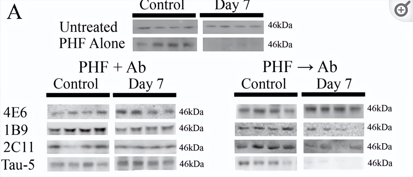 tau鎶椾綋,tau鎶椾綋涓村簥璇曢獙
