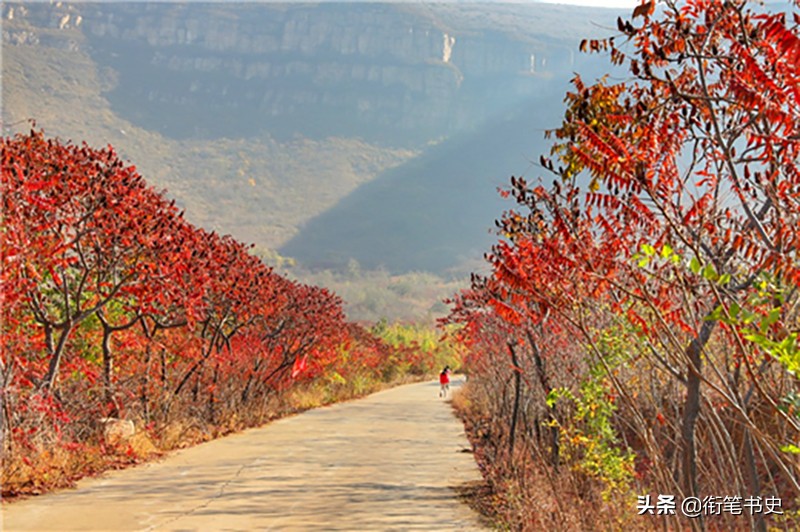 包森抗日战斗视频,包森抗日记录