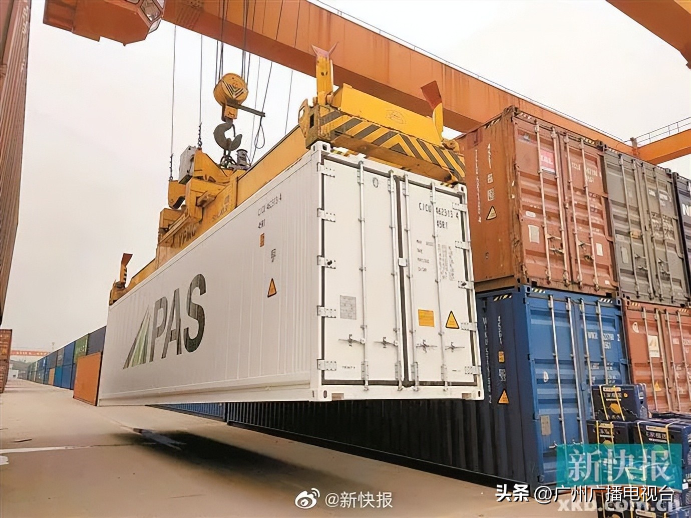 广州哪里榴莲批发最便宜,进口的榴莲多少钱一斤