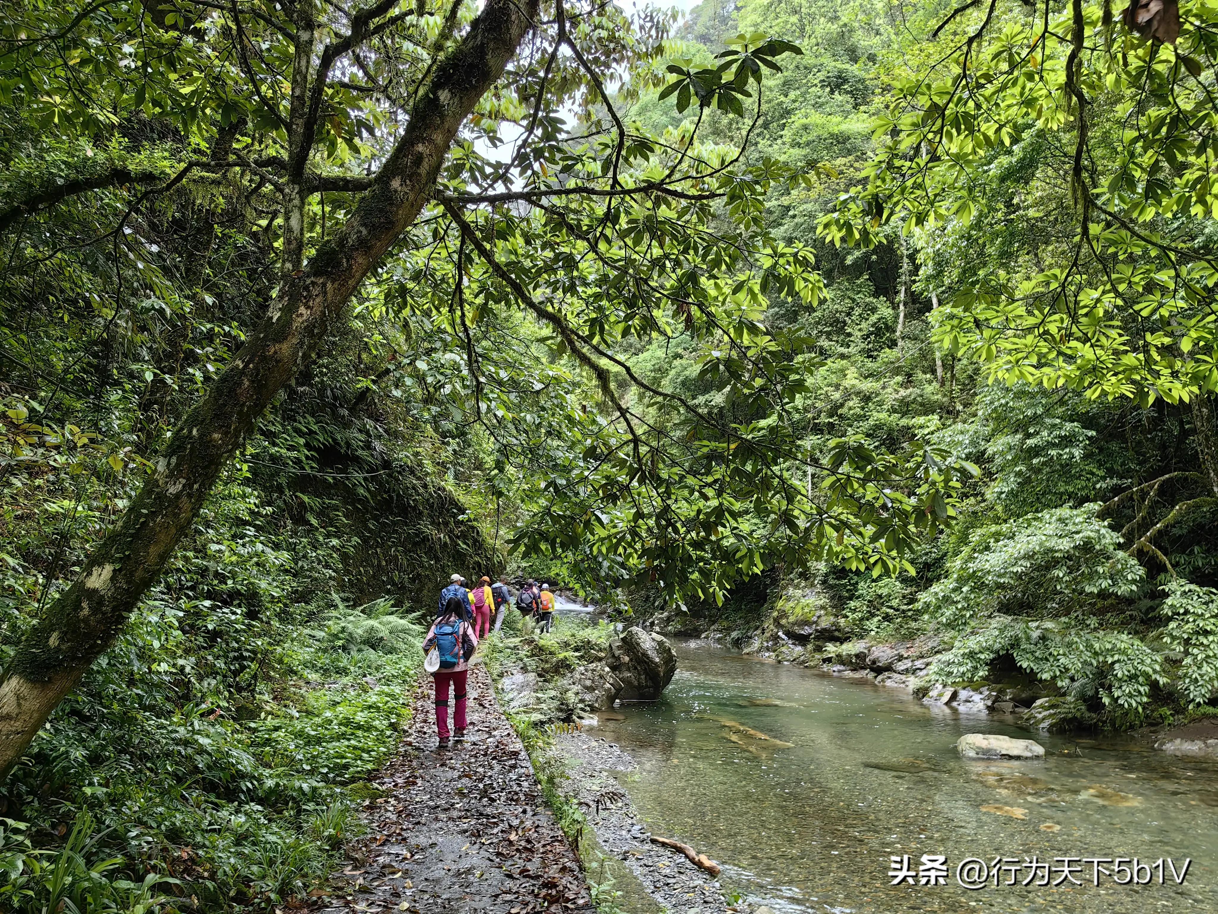 【探秘宛田红滩瀑布溯溪梦江吉翁瀑布】穿越花坪神秘风景线