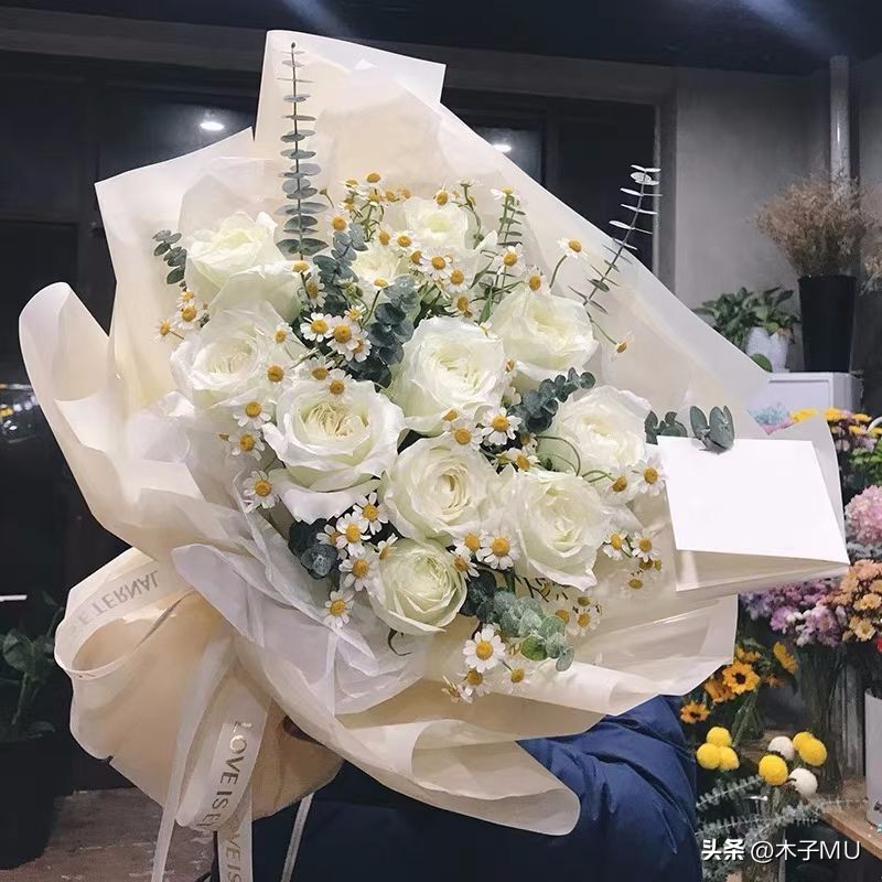 玫瑰送11朵还是19朵的含义,送花送11朵玫瑰代表什么