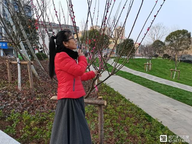 今天，绝句小说新文体已创立七周年，九位执行会长写的志念诗文