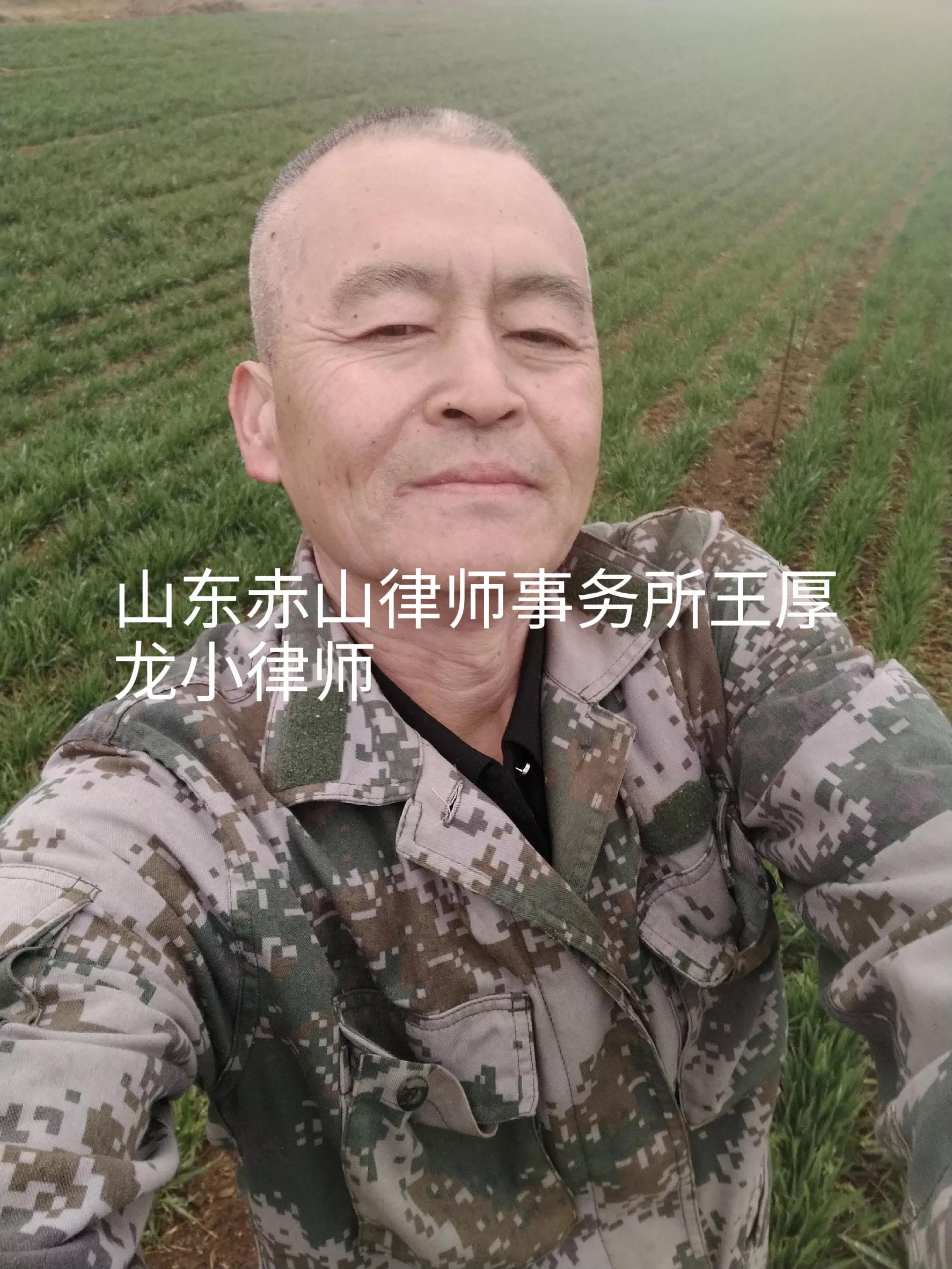 签订律师委托代理合同注意哪些,律师代理合同签订注意事项