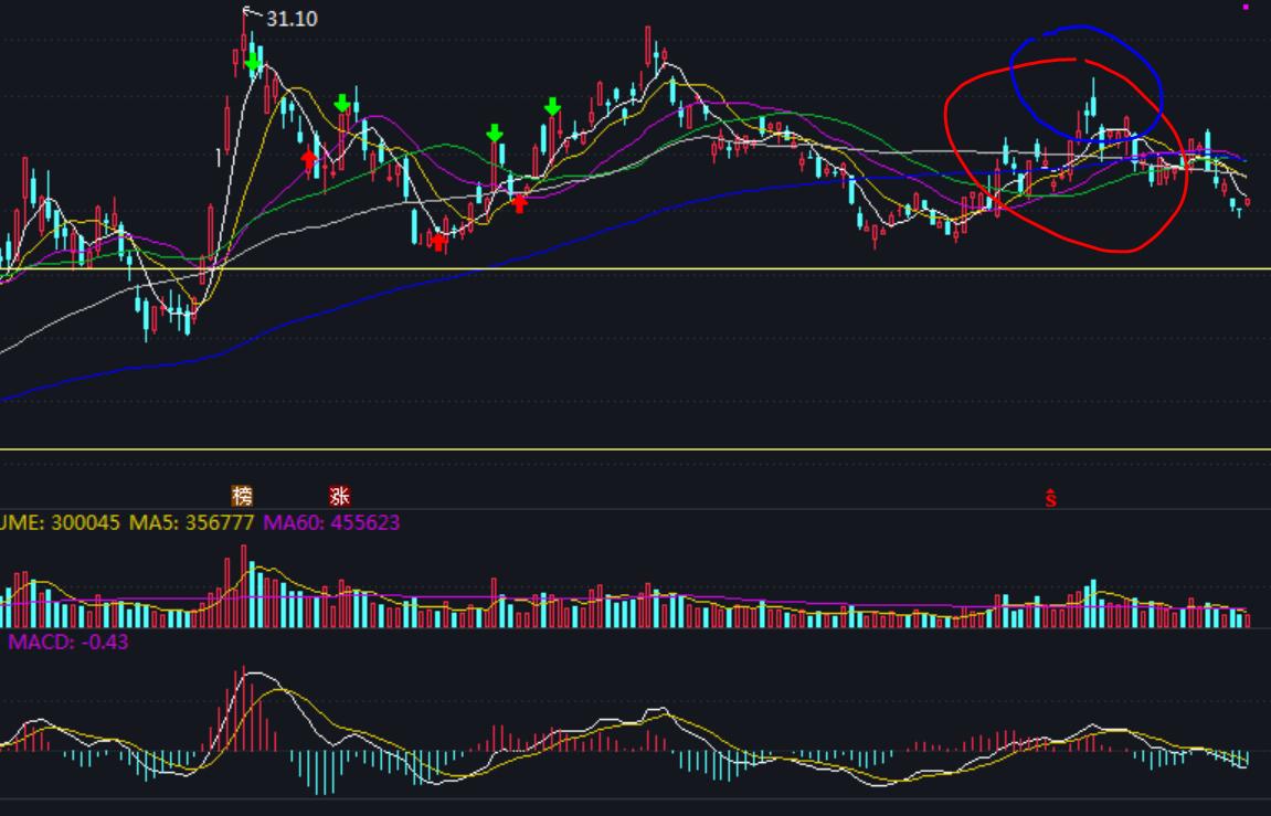 随心动含义,随心意交易软件怎么样