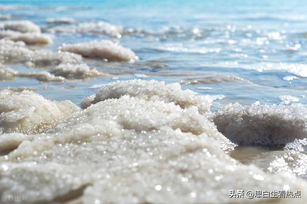 荷兰vs厄瓜多尔的比赛,卡塔尔vs荷兰会不会踢假球