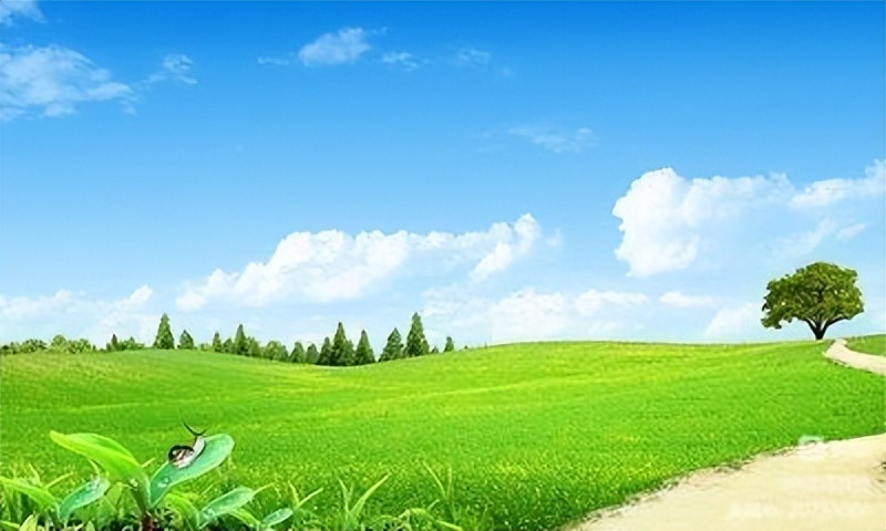 诗词中国135期征稿,诗词中国大赛获奖诗词作品