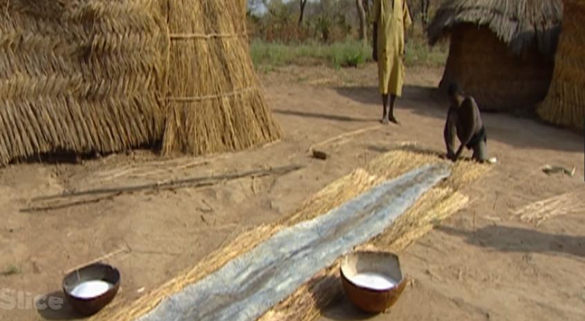 非洲部落狩猎巨蟒的真实场景，巨蟒头被锤烂都还死缠不放！纪录片