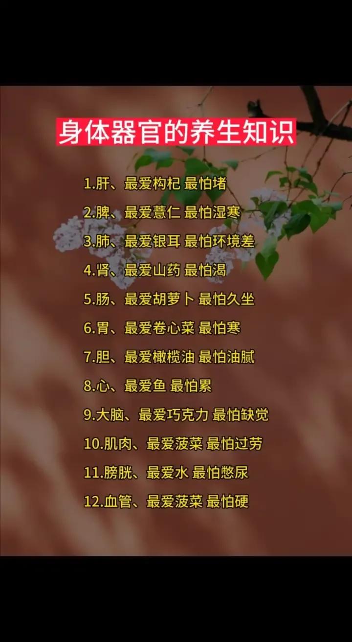 庚子日柱2023年癸卯年运势,癸卯年2023年哪个月出生最好